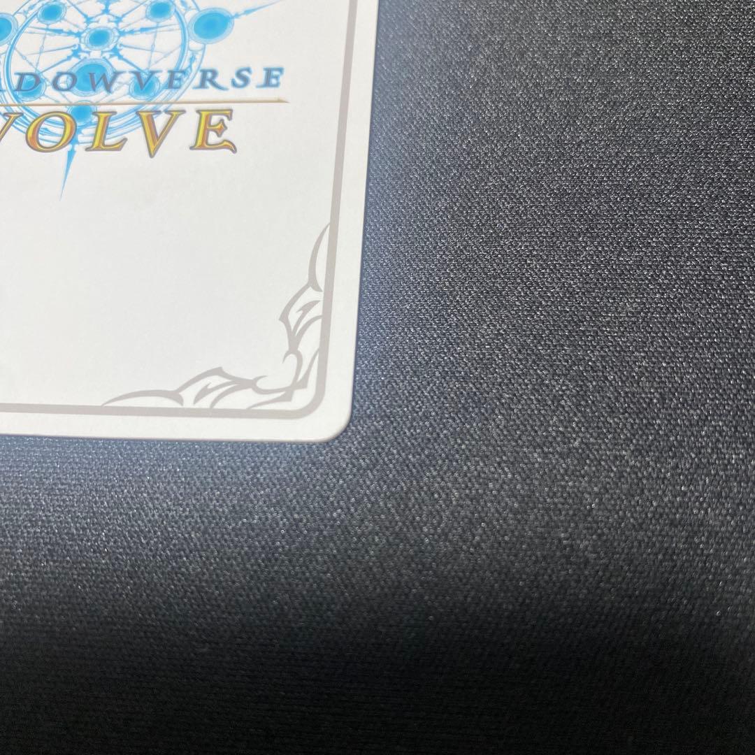 万華の鳳凰・ほーちゃん　リーダー