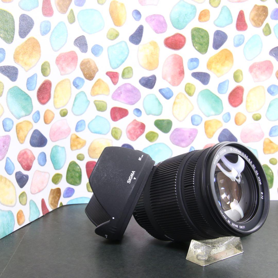 ♥︎◇近くから遠くまでこれ一本♪ SIGMA 18-250mm OS PENTAX