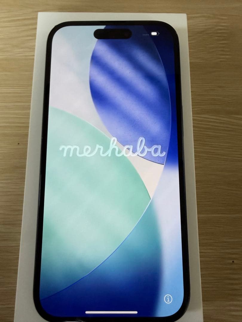 【ジャンク品】 Apple iPhone 16 128GB （箱）