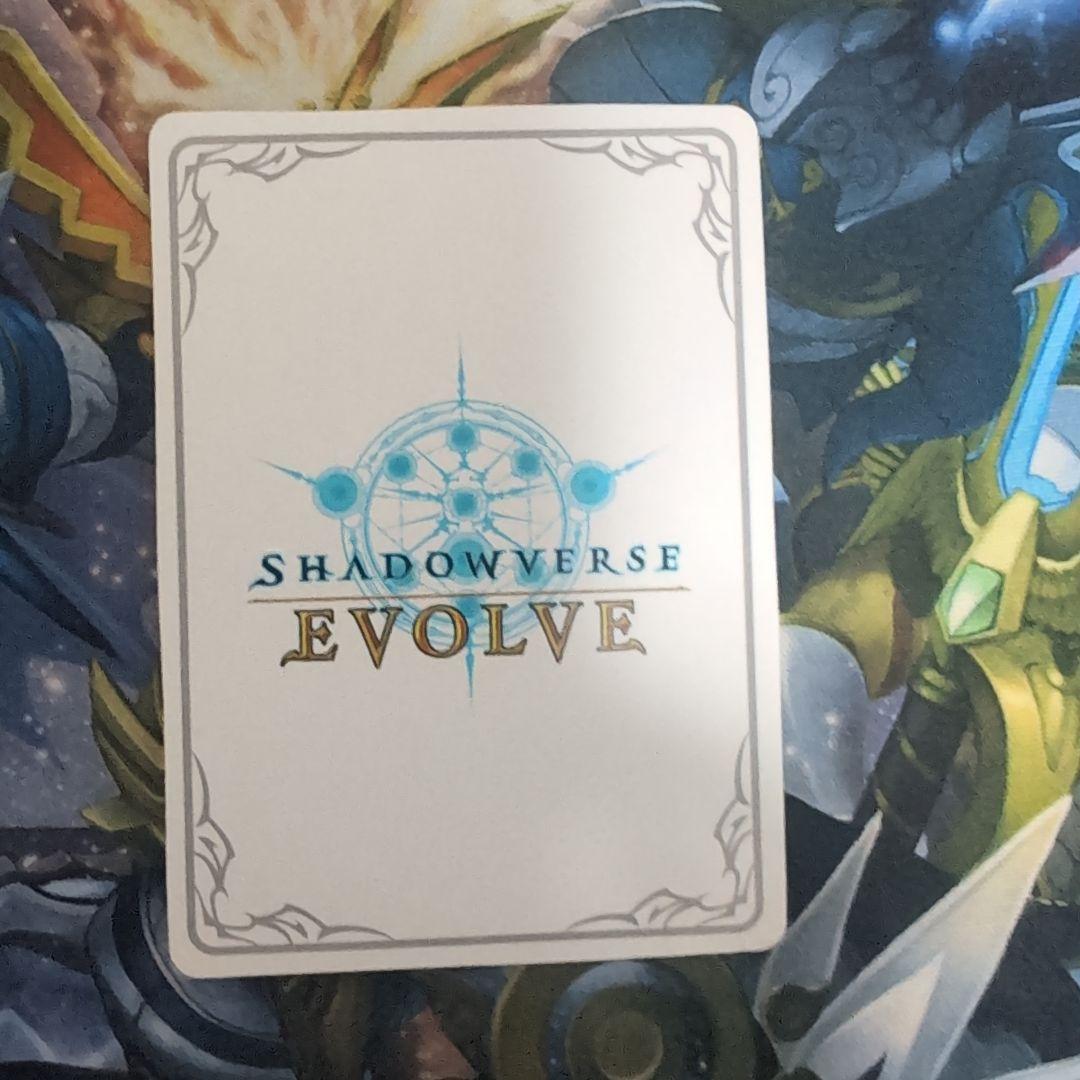 アン＆グレア リーダー