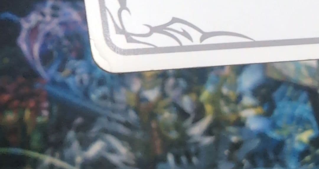 アン＆グレア リーダー