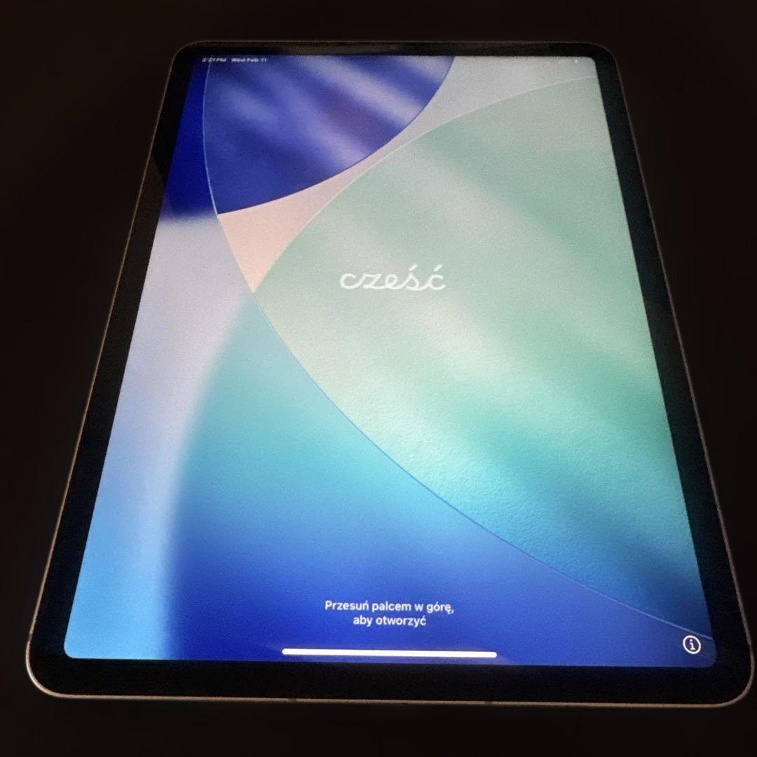 iPad Pro 11インチ 第4世代 wi-fi+cellular 256GB