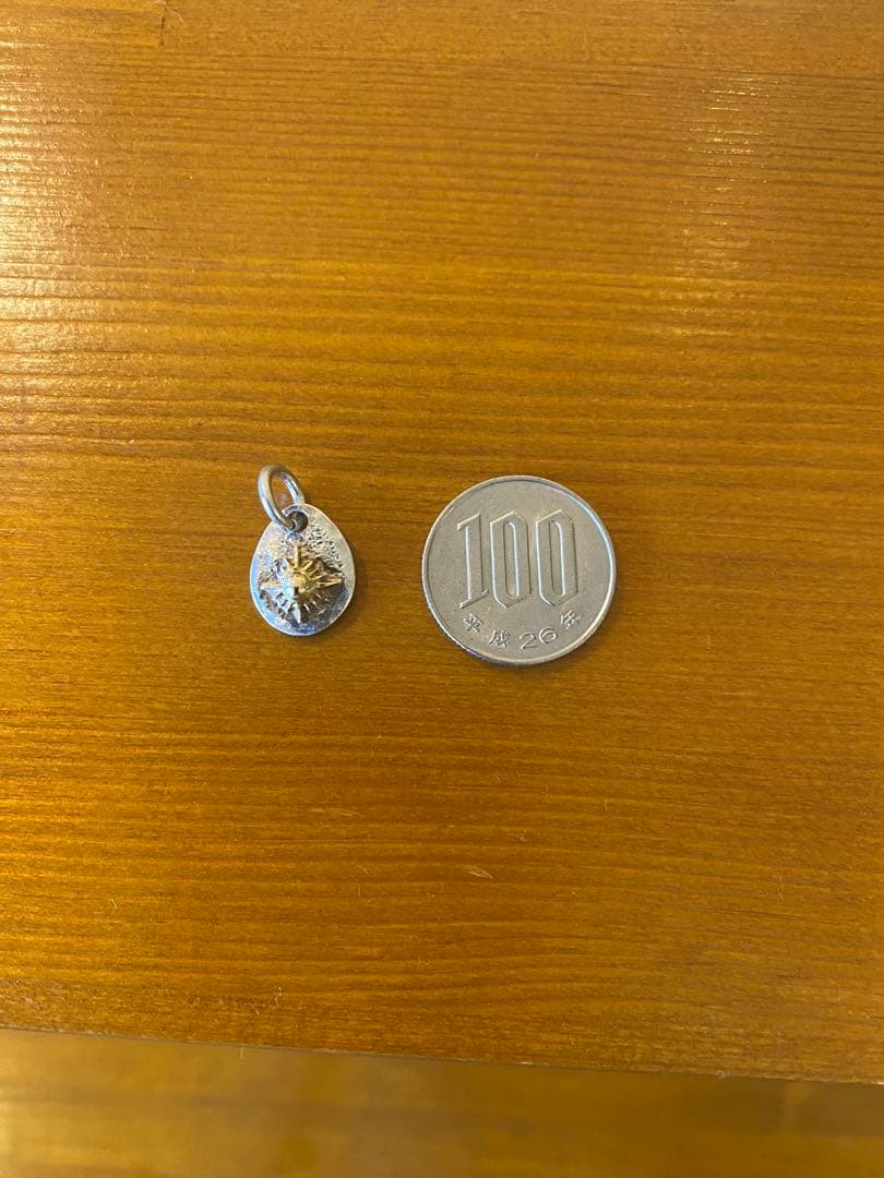 アリゾナフリーダム　ネックレストップ