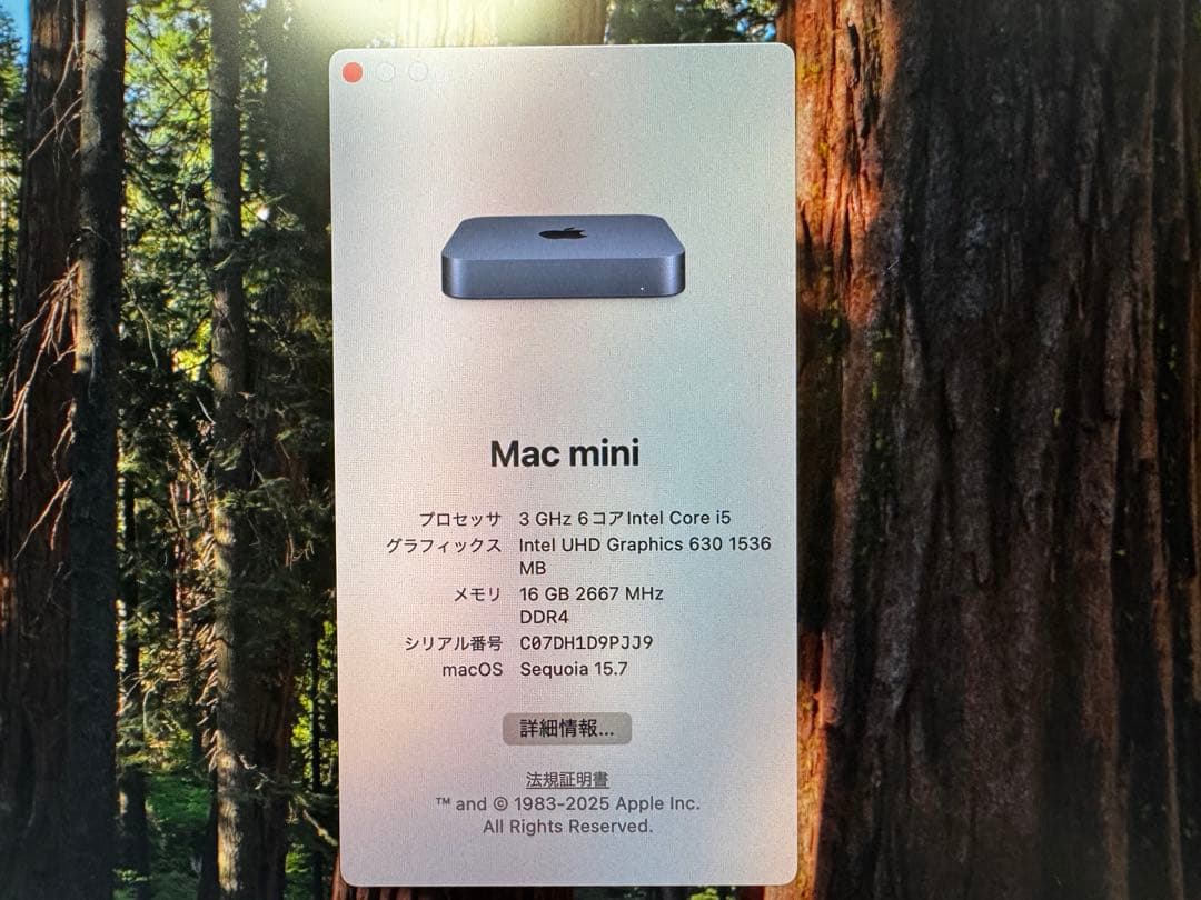 Macデスクトップ Apple Mac mini 2018 (Core i5/16GB/1TB)