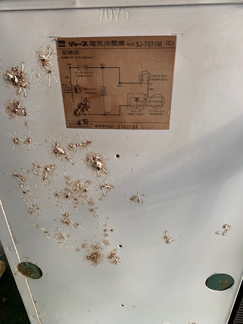 SHARP 希少 レトロポップ 冷蔵庫 稼動品 緑 昭和レトロ レトロ家電