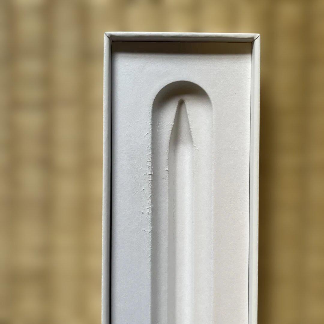 iPadアクセサリー Apple Pencill (USB-C)