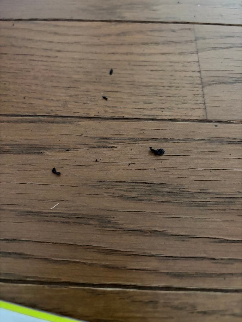 gray board CUB16 キッズスノーボード