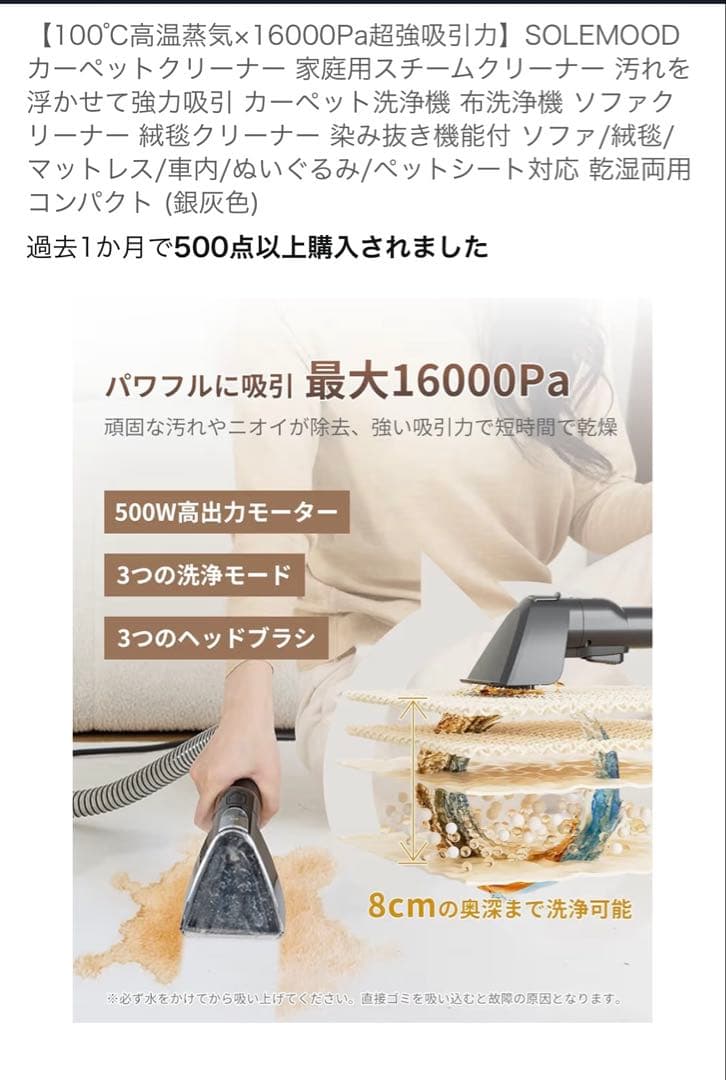 SOLEMOOD スチームクリーナー DY-506E