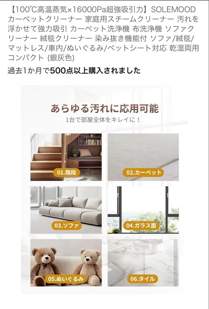 SOLEMOOD スチームクリーナー DY-506E