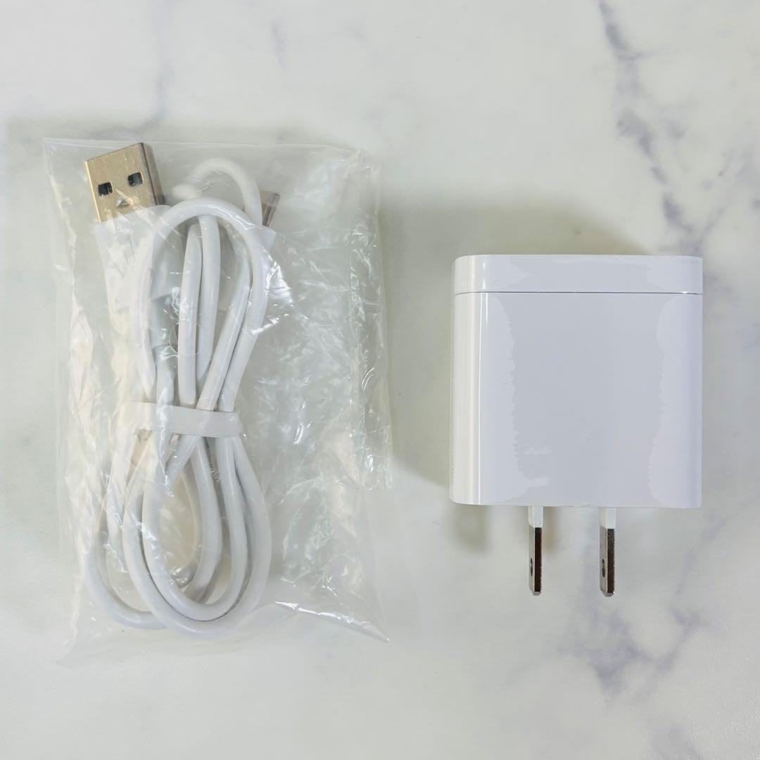 【美品】 Panasonic バイタリフトブラシ EH-SP60-H 美顔器