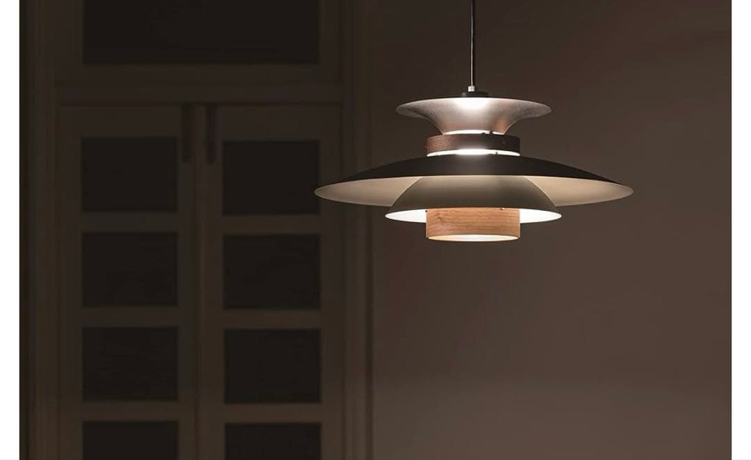 INTERFORM LT-7441WA ブラックシーリングライト