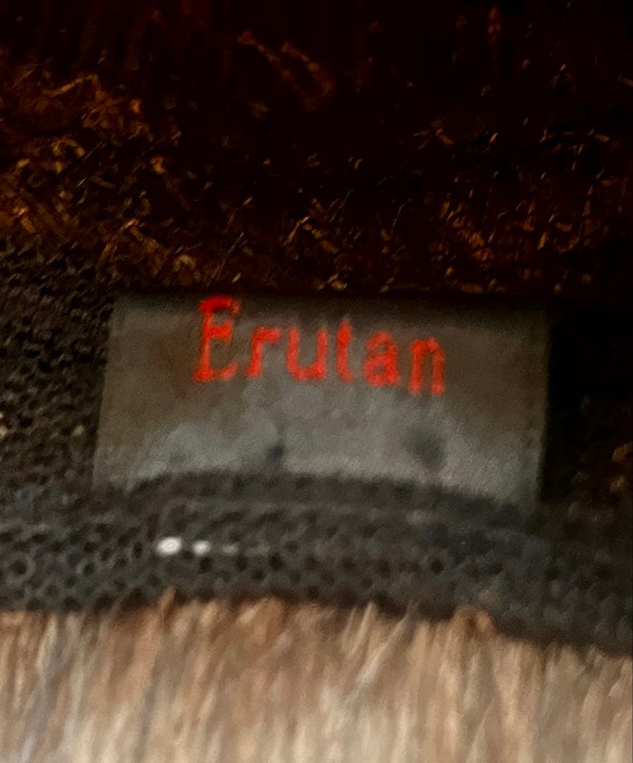 ヘアーウィッグ