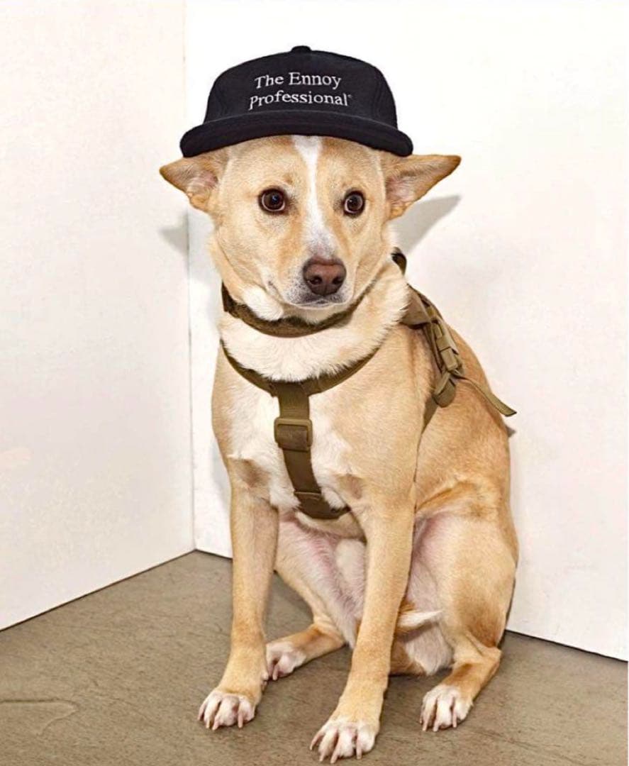 The Ennoy Professional 黒フリースキャップ