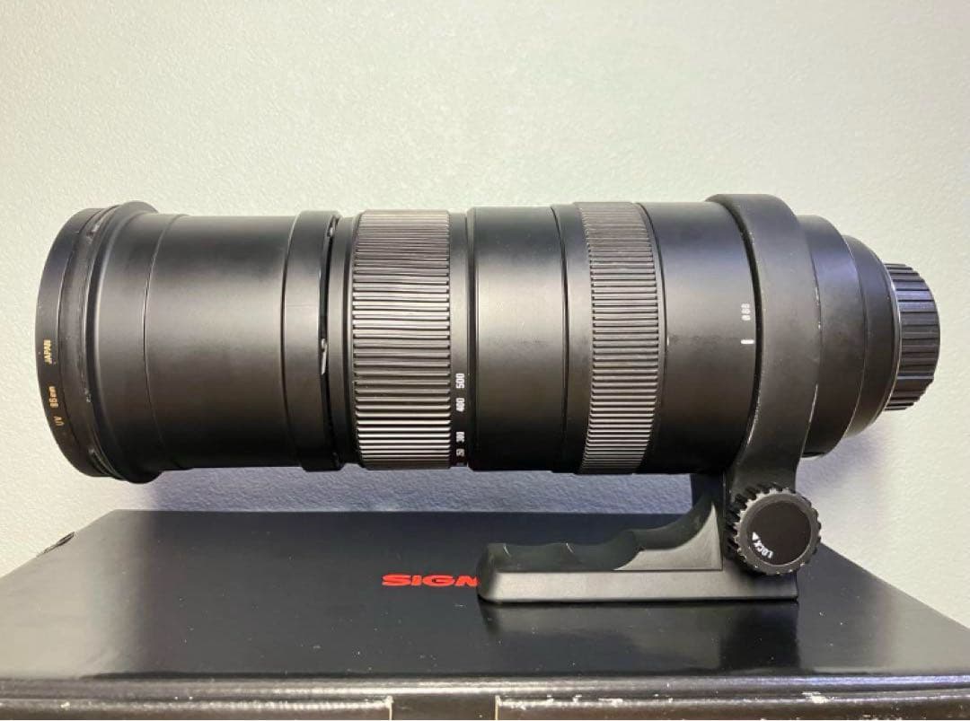 たぬき SIGMA APO 150-500mm F5-6.3 DG OS