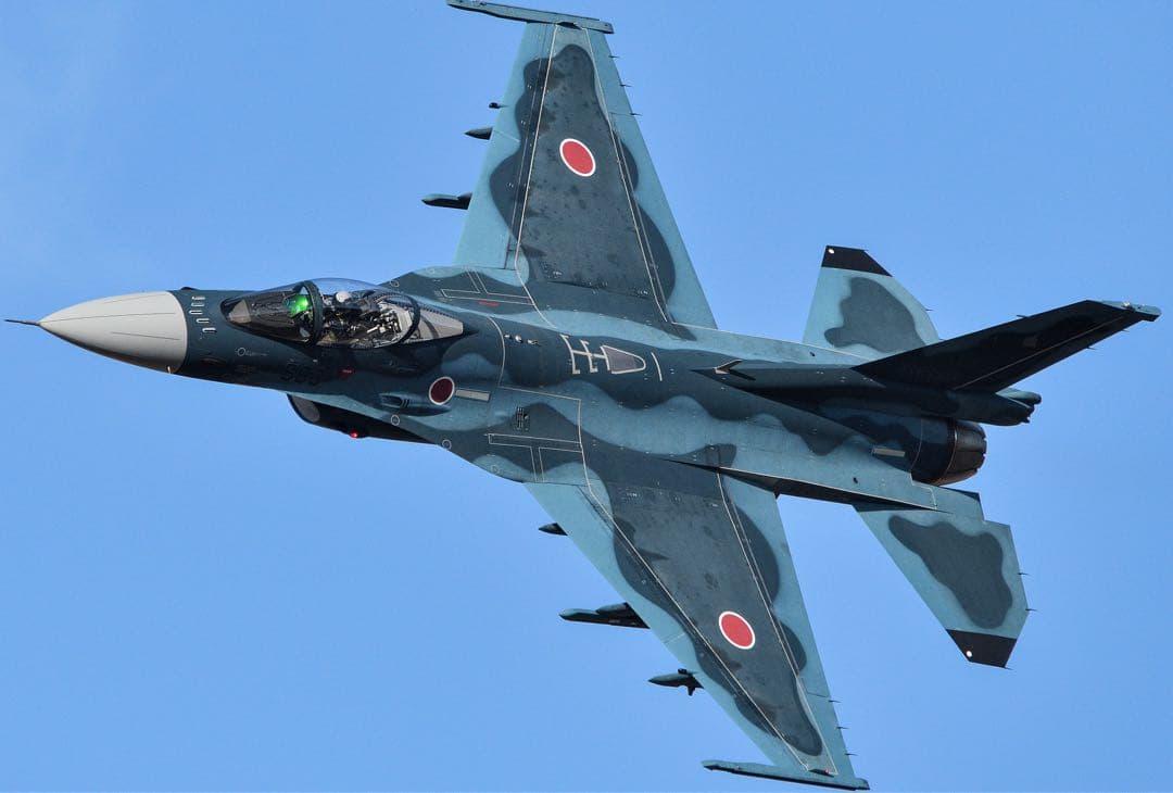 たぬき SIGMA APO 150-500mm F5-6.3 DG OS