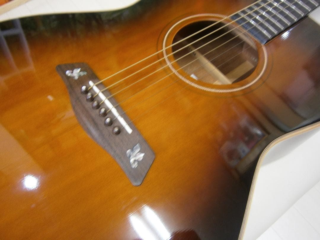 期間限定特価・アイバニーズ＜AW1010＞オール単板仕様・日本製