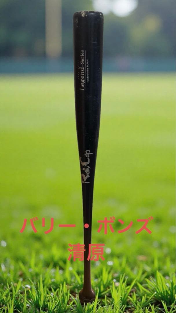 ラリーキャップ　清原モデル　84cm740g
