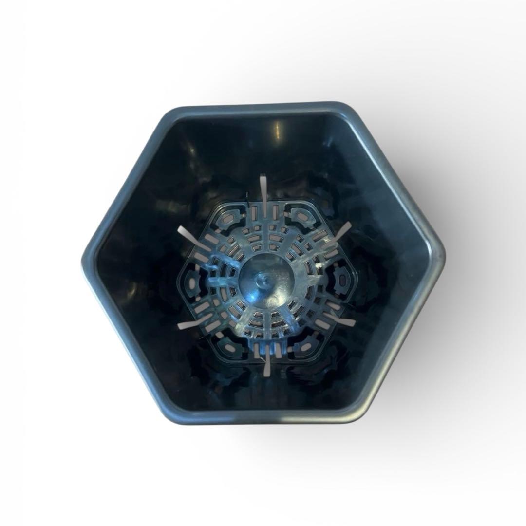 HexaPot (ヘキサポット)5号 サイズ　30個セット