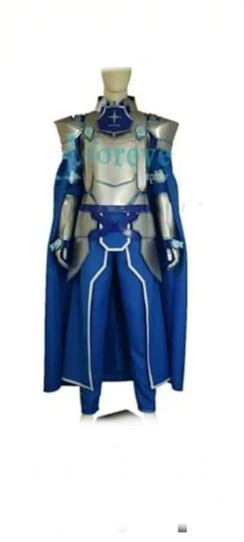 p*p様 ソードアート・オンライン　ユージオ　整合騎士バージョン　（衣装+靴）3