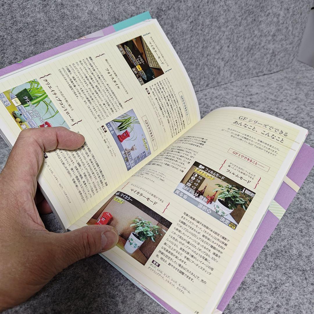 Panasonic/LUMIX/DMC-GF2/動作確認済み/付属品有り