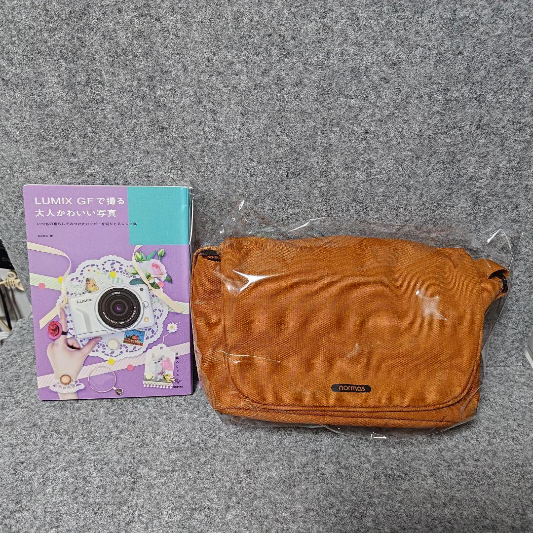 Panasonic/LUMIX/DMC-GF2/動作確認済み/付属品有り