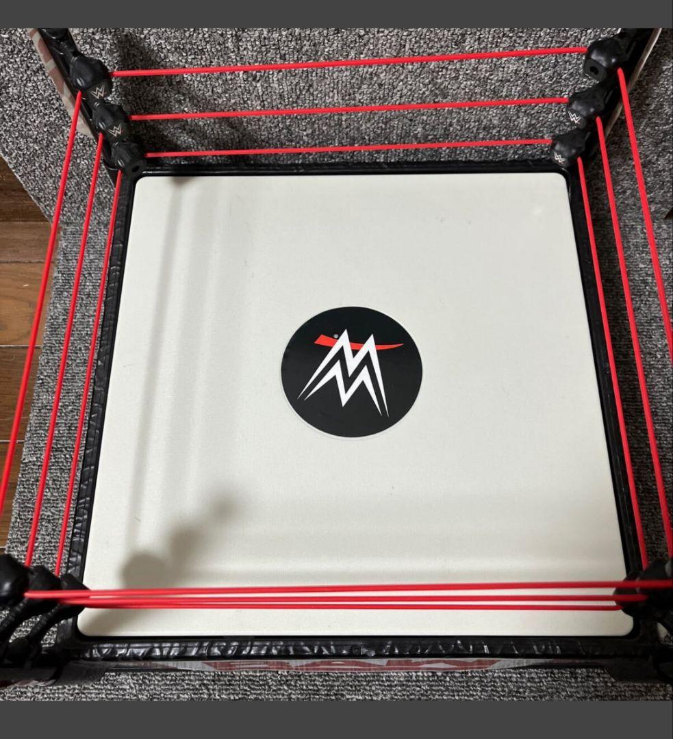 WWE RAW プロレス ミニチュアリング