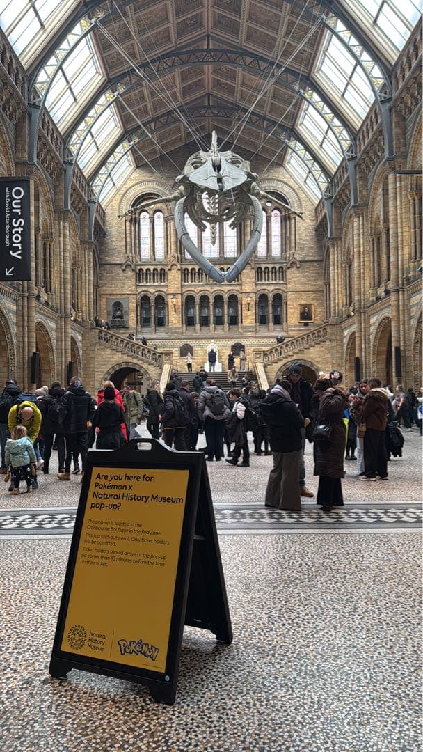 英国 Pikachu at the Museum ピカチュウ promo プロモ