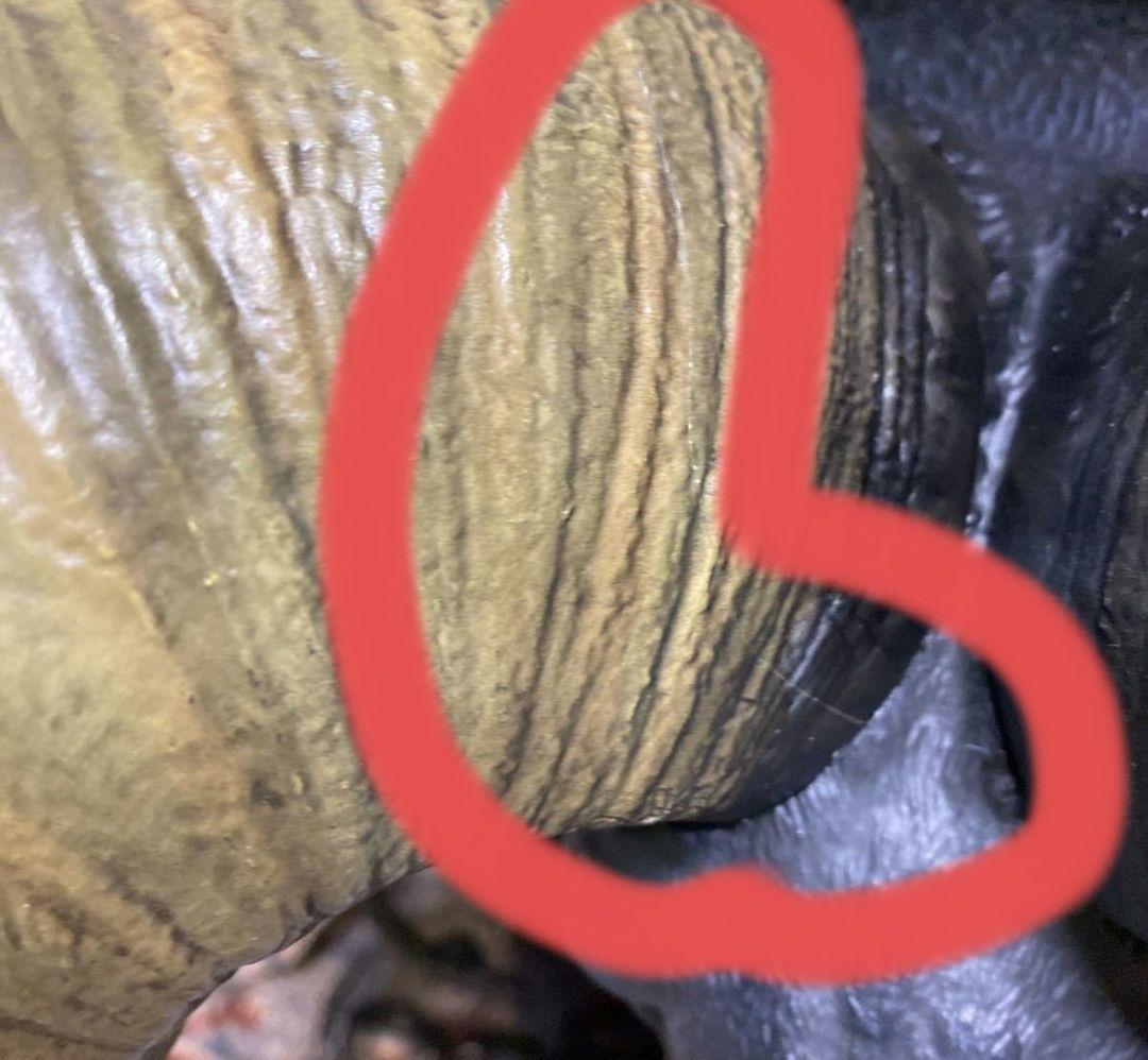 プライム1スタジオ ベルセルク　　不死のゾッド　スタチュー　フィギュア