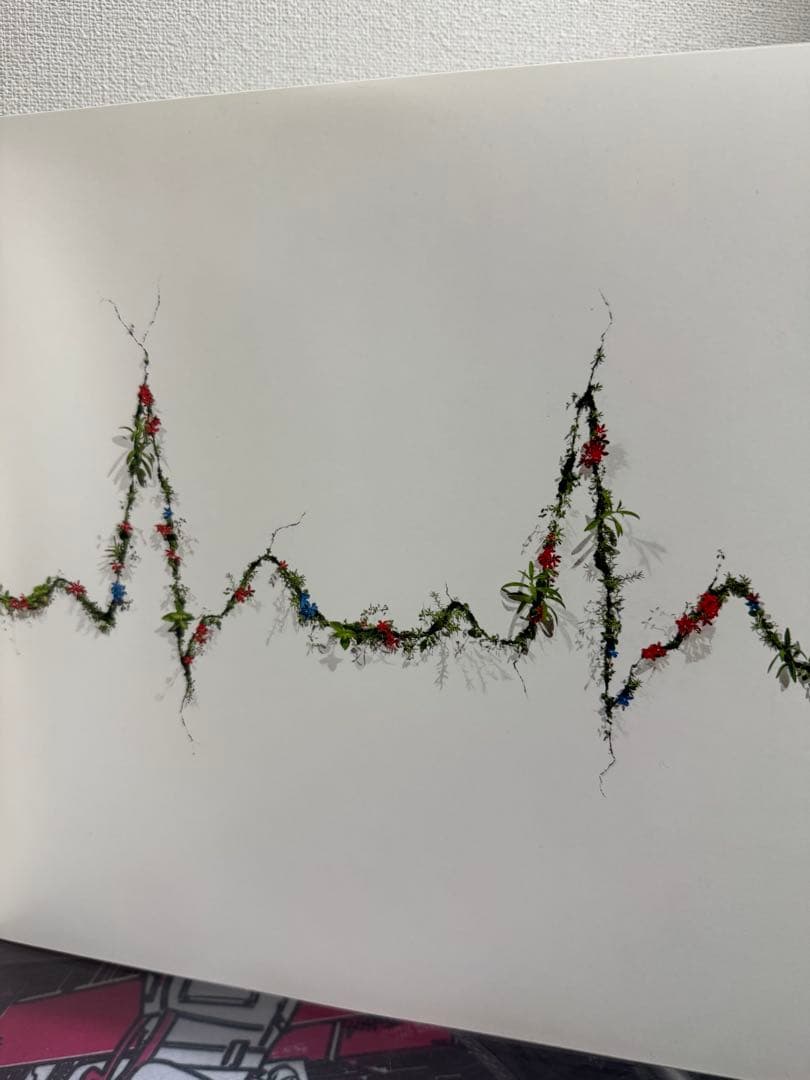 星野源 POP VIRUS レコード