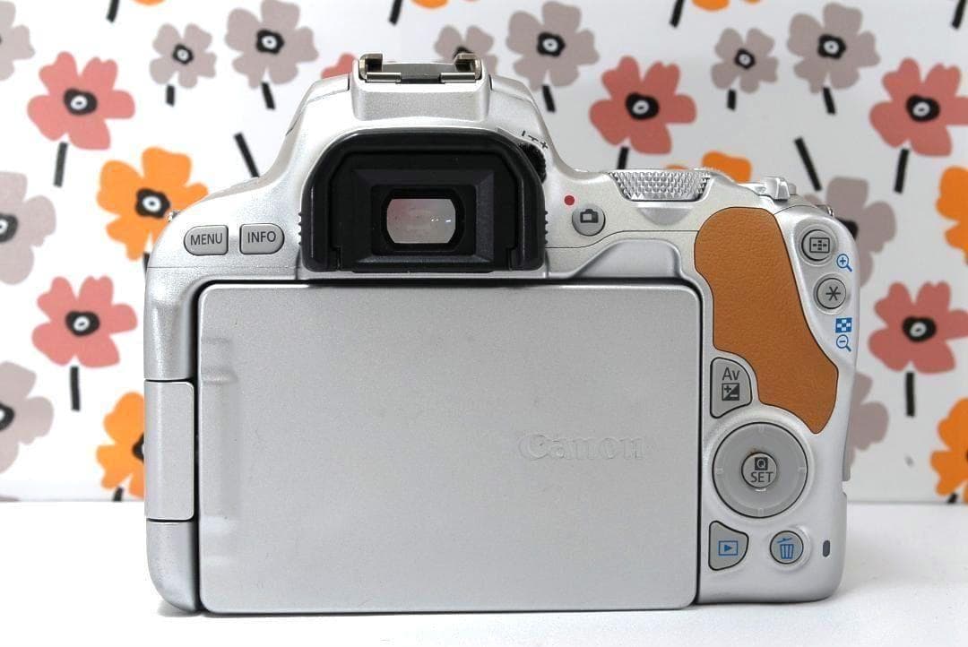 ❤Canon Kiss X9❤高性能STMレンズ❤カメラバック❤希少なシルバー❤