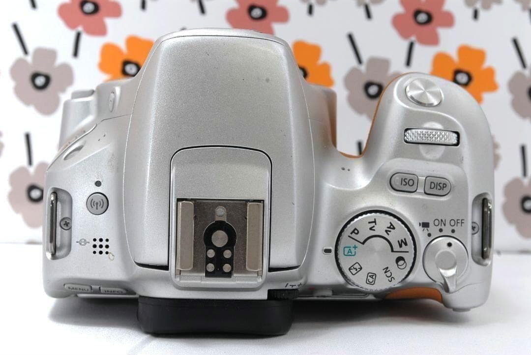 ❤Canon Kiss X9❤高性能STMレンズ❤カメラバック❤希少なシルバー❤