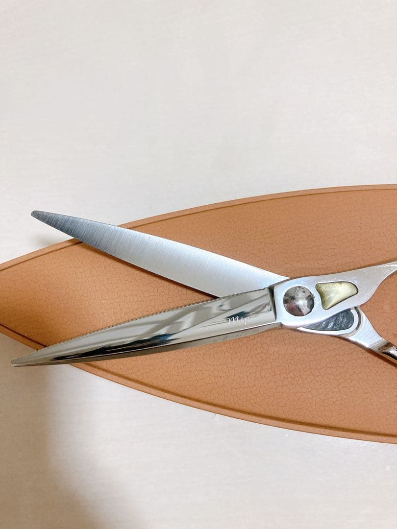 トギノン　マリンシャーク6.8 ケース付き