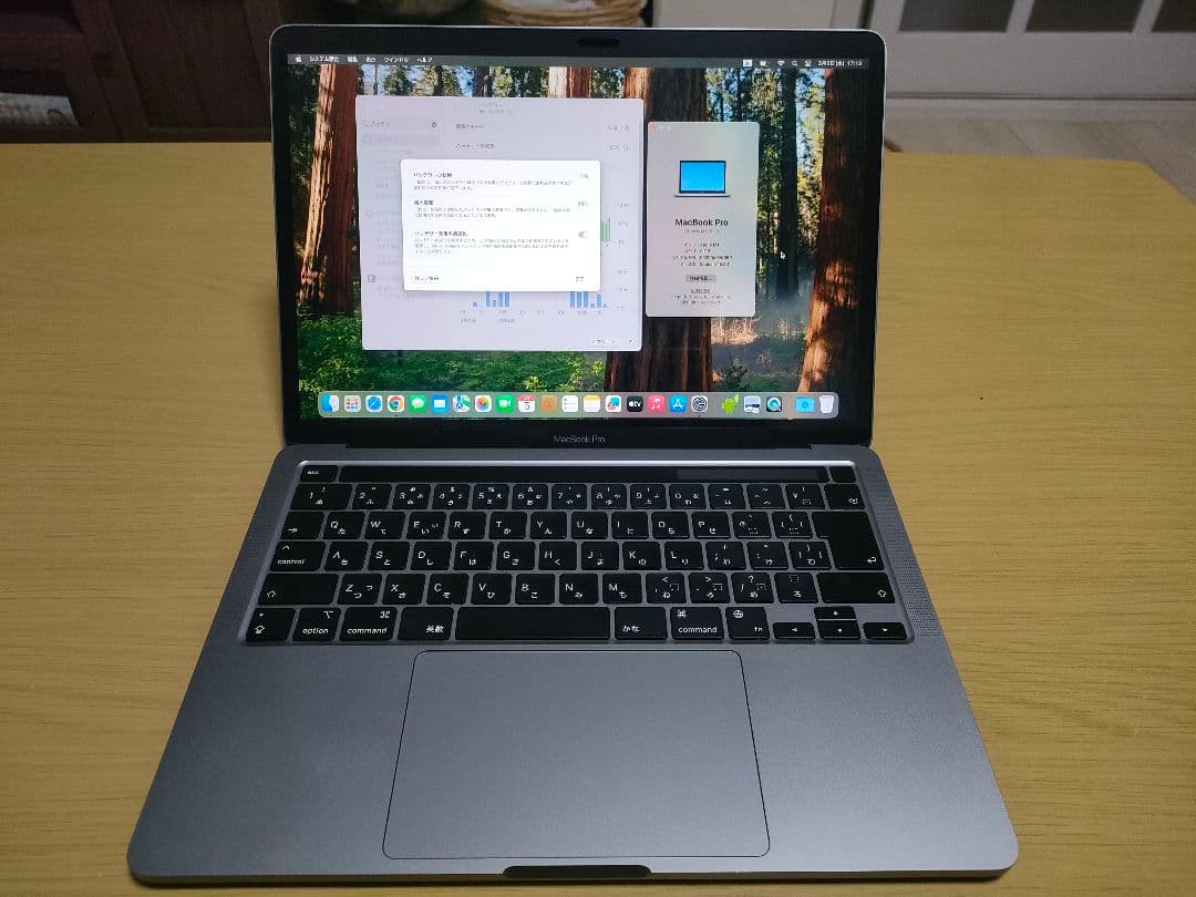 MacBook本体 MacBook Pro 13 M1 8/256 MYD82J/A