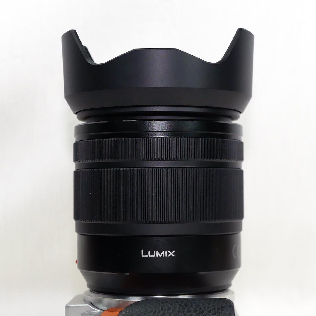 Panasonic Lumix 標準ズームレンズ H-FS12060