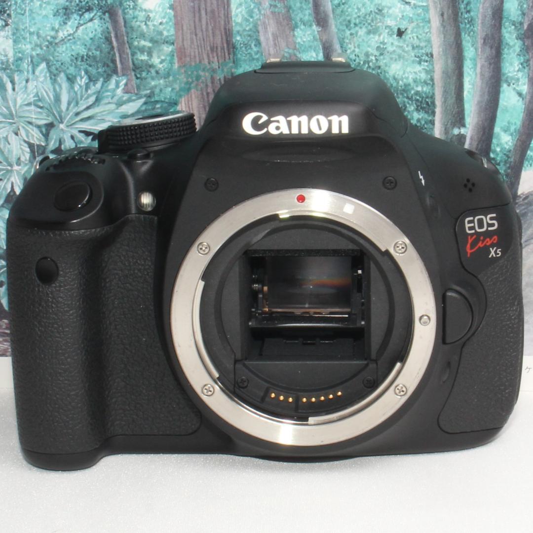 ❤️一眼レフデビュー❤️Canon EOS kiss x5 300㎜ダブルレンズ