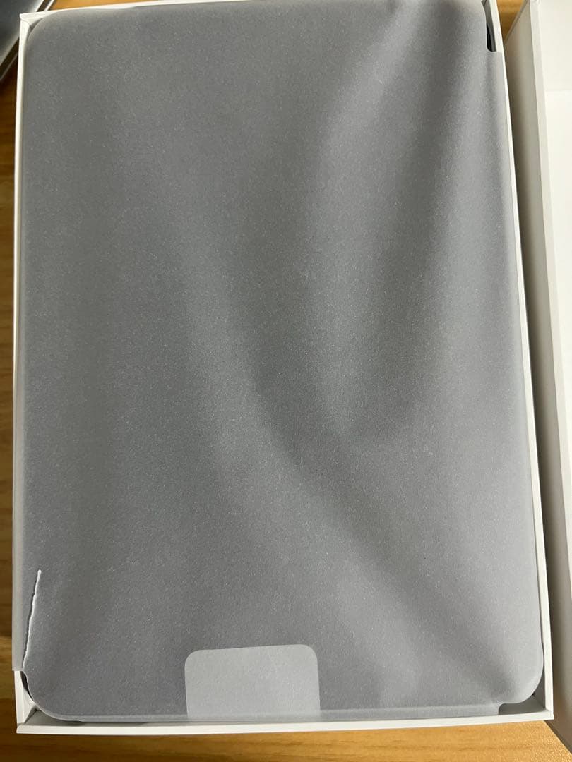 アップル Apple iPad mini （A17 Pro） 256GB