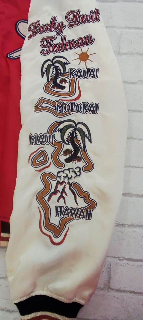 D802 TEDMAN テッドマン リバーシブル スカジャン 刺繍 サイズ40