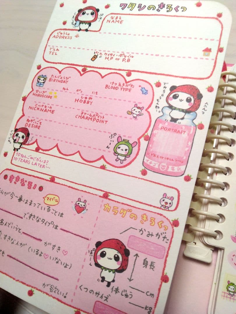 いちご牛乳こぱむだ　プロフィール帳　平成レトロ　レア　入所困難