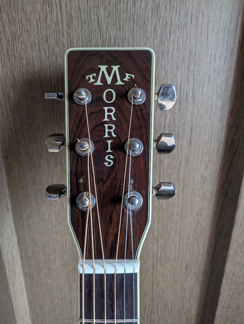 ♪Morris TF-50SP スペシャル・ハカランダ・トップ単板♪