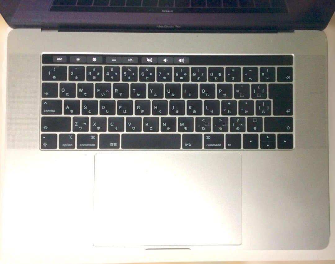 Apple MacBook Pro 15インチシルバー 2018