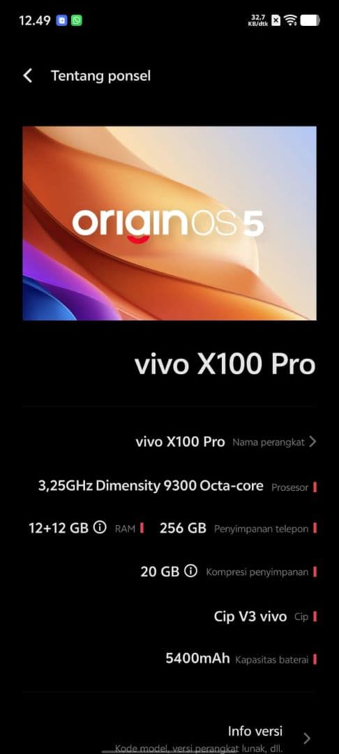 vivo X100 Pro 12/256GBスマートフォン