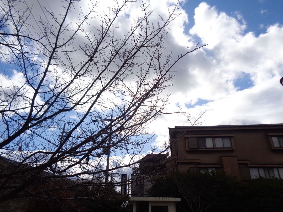 【作例有】SONY Cyber-shot DSC-W830 コンデジ 動作品