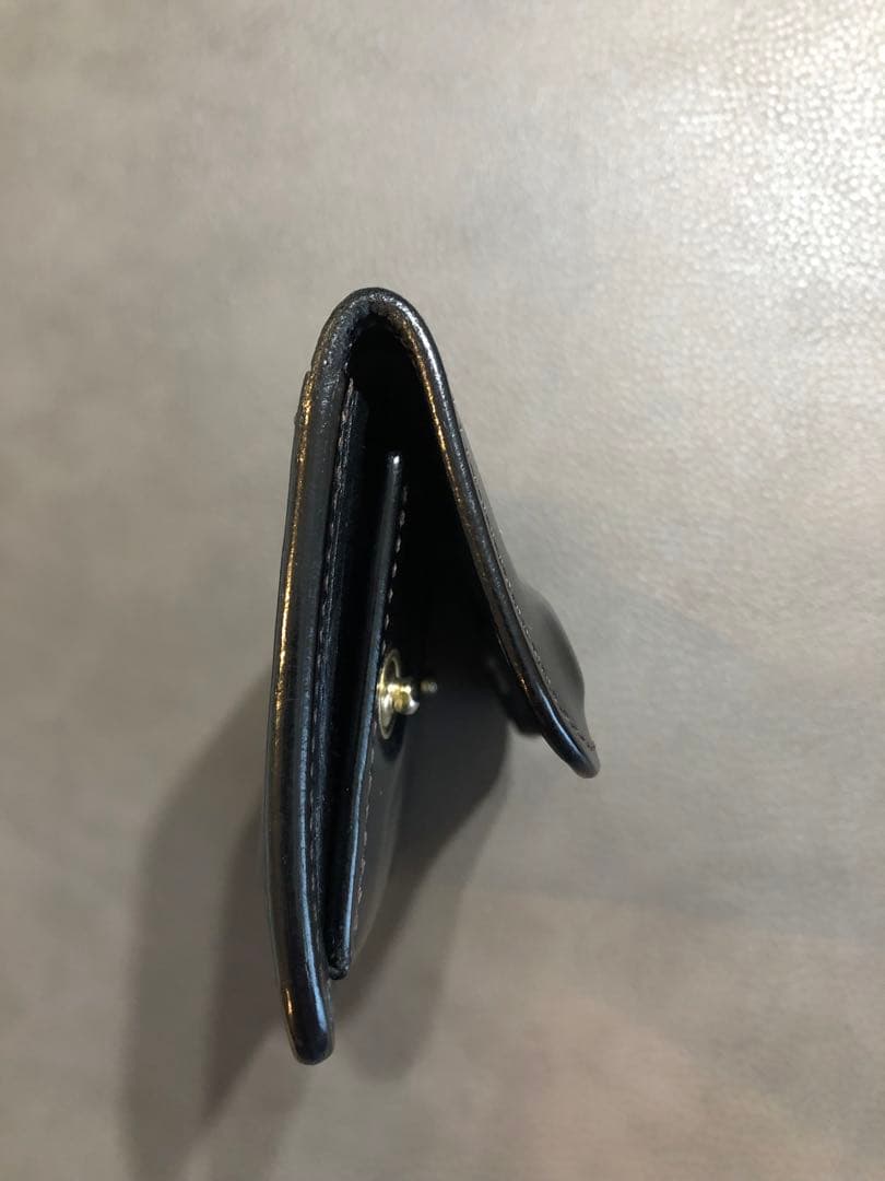 WILD SWANS タング