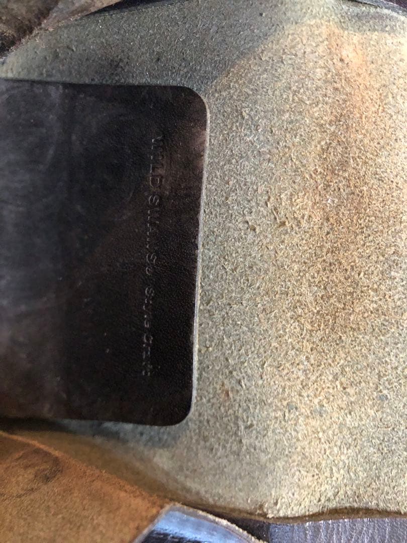 WILD SWANS タング