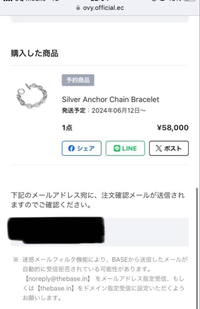 OVY Silver Anchor Chain Bracelet【付属品付】