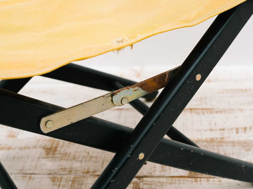 Kodak コダック ディレクターズチェア