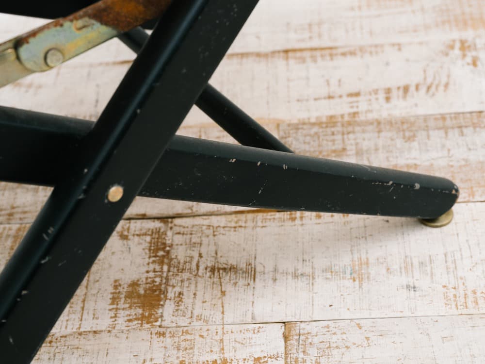 Kodak コダック ディレクターズチェア