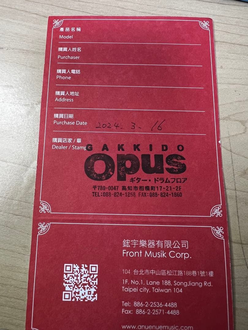 aNueNue Bird Guitar aNN-M10E エレアコ