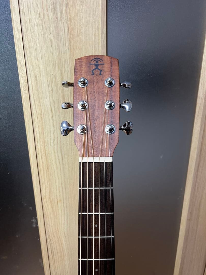 aNueNue Bird Guitar aNN-M10E エレアコ