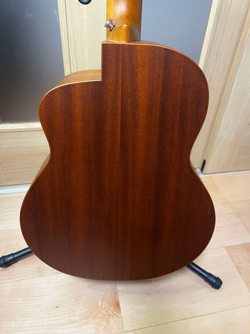aNueNue Bird Guitar aNN-M10E エレアコ
